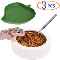 Tfwadmx - Cuenco para agua de reptil, plato de cerámica con pinzas para gecko y tortuga de lagarto, camaleón de dragón, leopardo, serpiente de maíz Gecko - BESTMASCOTA.COM