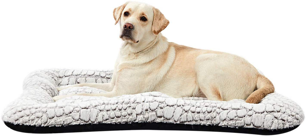 Dog Beds Amazon Camas Para Perros Medianos ANWA Cama De Perro Para