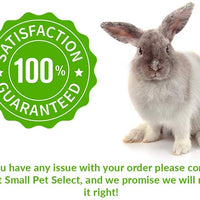 Peine para mascotas de Small Pet Select HairBuster, herramienta para descamación de conejos, gatos y perros, Paquete de 10 - BESTMASCOTA.COM