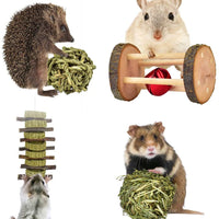 ERKOON New 12 Pack Hamster Chew Toys Gerbil Rat Guinea Pig Chinchilla Chew Toys Accessories, Natural Wooden Dumbbells Exercise Bell Roller Teeth Care Molar Toy for Rabbits Bird Rabbits Hamster Gerbil - BESTMASCOTA.COM
