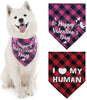 PUPTECK Valentine's Day Dog Bandana - 2 Pack Sweet Plaid Triangle Bibs Scarf Accessories for Dogs Cats Pets, I Love My Human, Happy Valentine's Day, Super Soft Scarf, Red and Pink - BESTMASCOTA.COM