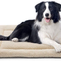 Invenho - Cama para perro, cómoda, suave, antideslizante, lavable a máquina, almohadilla para perro, cama para perros y gatos, color beige - BESTMASCOTA.COM