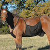 Cashel Horse Fly Sheet, Belly Guard - BESTMASCOTA.COM