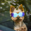 Enjoying - Gafas de sol para perros pequeños, protección UV, resistente al viento, con correa ajustable para cachorro y gato - BESTMASCOTA.COM