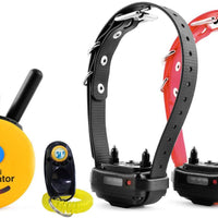 Paquete de 2 artículos – E-Collar – ET-302 – Mitad a Milla a distancia impermeable dos perro entrenador Mini Educador – estático, vibración y sonido estimulación collar con PetsTEK perro entrenamiento Clicker Kit de entrenamiento - BESTMASCOTA.COM