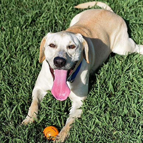  JEROCK Pelotas para perros, pelota de juguete indestructible para  perros masticadores agresivos, pelota interactiva duradera de alta  elasticidad para entrenar perros atrapar y atrapar, perros y : Productos  para Animales