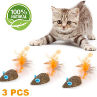 WoLover Cat Catnip Sticks Natural Matatabi Silvervine Sticks – Limpieza de dientes Molar Herramientas Gatito Gato Masticar Juguete Natural Catnip Ratón Gato Juguete - BESTMASCOTA.COM