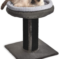 AmazonBasics Cat Post - BESTMASCOTA.COM