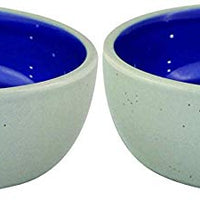 Plato de gres ético de 5.0 in para gatos o reptiles, individual - BESTMASCOTA.COM