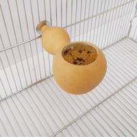 Kathson - Comedero para pájaros y mascotas, cuenco para comida de pájaros naturales, resistente a la comida, para pequeños loros, cacatúas, contenedores de animales pequeños para pájaros y jaulas - BESTMASCOTA.COM