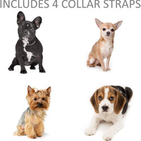 Shock Collar para perros pequeños con mando a distancia + Free de perro Clicker Entrenamiento – Clicker + collar = resultados más rápidos – 3 Modo (sonido golpes, Vibration & Choque) – Ahorrar Dinero con baterías recargables - BESTMASCOTA.COM