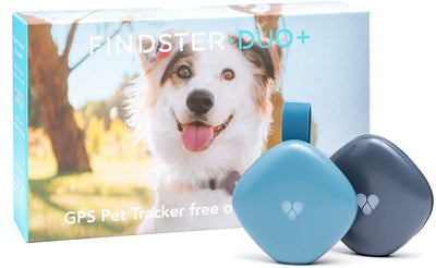 Findster Duo+ Pet Tracker Free of Monthly Fees - GPS Tracking Collar for Dogs and Cats & Pet Activity Monitor - BESTMASCOTA.COM