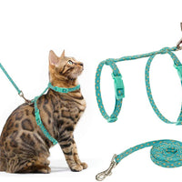 PUPTECK - Arnés para gato con correa, correa suave ajustable con diseño de moda - BESTMASCOTA.COM