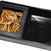 omem gusano plato Mini reptil comida y tazón de agua 2 en 1 - BESTMASCOTA.COM
