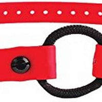 Educator - Collar elástico de cierre rápido - BESTMASCOTA.COM