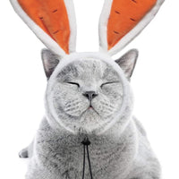RYPET - Disfraz de conejo de zanahoria, orejas de conejo de Pascua para perros pequeños a grandes perros y gatos - BESTMASCOTA.COM