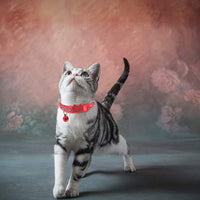 PAWCHIE - Collar ajustable para gato con campana, diseño de patrón oceánico para gatito (3 unidades) - BESTMASCOTA.COM