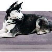 JoicyCo - Colchón ortopédico para cama de perro, lavable, antideslizante, con funda extraíble - BESTMASCOTA.COM