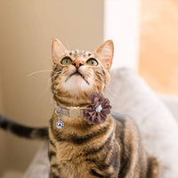PUPTECK 3 collares de piel para gatos con campana y flor extraíble, collares de seguridad ajustables lindos y suaves para gatos y animales pequeños mascotas, color rosa, verde, dorado - BESTMASCOTA.COM
