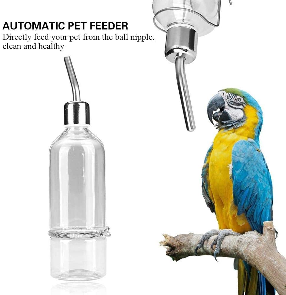 Pet bird water dispenser best sale