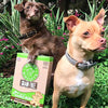 Buddy Galletas horneadas sin granos crujientes para perros - BESTMASCOTA.COM