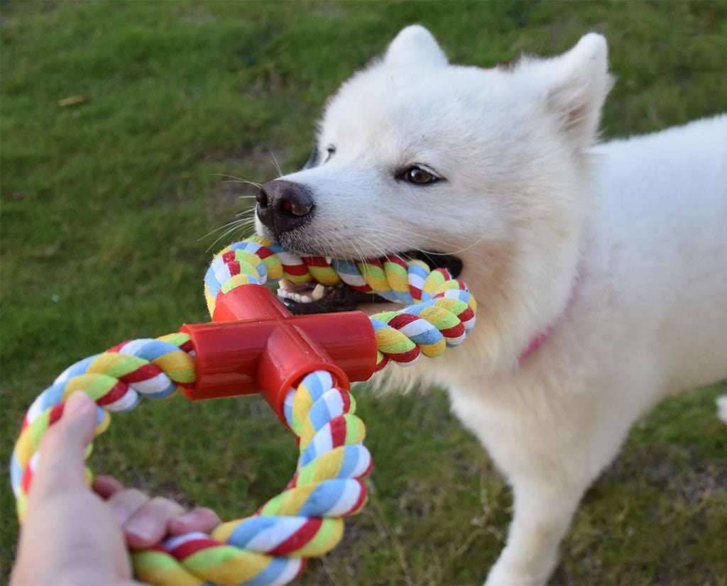 LECHONG Juguetes para perros para masticadores agresivos, cuerda resistente  para masticar, juguetes para perros grandes y medianos, 3 pies y 5 nudos