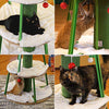 Kitty City Large Cat Tunnel Bed, Cat Bed, Pop Up Bed, Cat Toys, Christmas Tree - BESTMASCOTA.COM