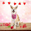 SCENEREAL Dog Bandanas Valentine's Day 2 Pack - Cute Triangle Scarf Pet Holiday Costume, Red Heart and Pink Plaid with Love Design for Dogs - BESTMASCOTA.COM