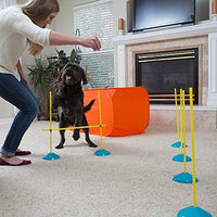 Juego para principiantes de agilidad Zip Zoom para perros, de interior, con túnel, postes para zigzaguear, obstáculos de salto de altura por Outward Hound - BESTMASCOTA.COM