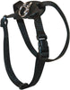 Coastal Pet Size Right! Adjustable Cat Harness - BESTMASCOTA.COM