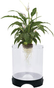 Penn Plax Aquaponic Betta Fish Tank promueve un ambiente saludable para plantas y peces 1.4 galones de capacidad - APON2 - BESTMASCOTA.COM
