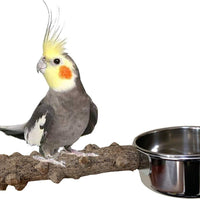 Vehomy - Soporte de madera para loros pequeños y medianos - BESTMASCOTA.COM