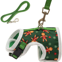 PUPTECK - Juego de arnés con correa para gato, chamarra de paseo ajustable a prueba de escape, para gatitos, cachorros - BESTMASCOTA.COM