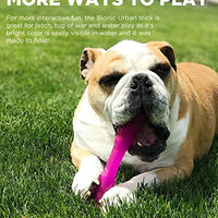 Bionic Urban Stick - Juguete para perros, resistente y masticable - BESTMASCOTA.COM