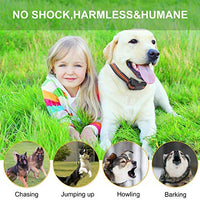 Zeonetak collar de corteza en spray para entrenamiento de perro, Citronella Control Stop ladrando collar para perros pequeño, mediano, grande, ajustable, recargable, impermeable, sin golpes y humanos - BESTMASCOTA.COM