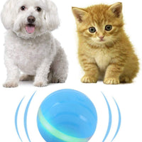 Versión mejorada 2.0: bolas blinkbrione para gatos y perros, enrollado automático/apagado automático, recargable por USB, pelota de juguete interactiva inteligente para gatitos, gatitos, cachorros con luces LED RGB, resistente al agua - BESTMASCOTA.COM