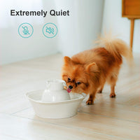 Aurora - Fuente de cerámica para gatos y mascotas, fuente de agua higiénica y fácil de limpiar, ultra silenciosa, resistente a los arañazos, dispensador de agua para gatos con filtro de carbono activado y prefiltro de espuma de esponja - BESTMASCOTA.COM