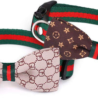 Freewindo Collar para gato con lazo para perro, 2 piezas desmontables, collar ajustable para perros y gatos pequeños y medianos - BESTMASCOTA.COM