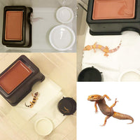 Tfwadmx Gecko Oculto, Reptile Ocultar Caja y Cueva Ocultar con Suministro de Agua para Lizards Serpientes Leopardo Gecko Arañas Rana - BESTMASCOTA.COM