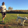 SHINE HAI - Correa para perro con doble elástico para manos libres, control gratuito para perros de hasta 150 libras, correa elástica duradera de doble asa con cinturón ajustable para correr, correr o caminar, gris - BESTMASCOTA.COM
