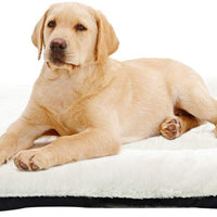 ANWA Dog Bed Pet Cushion Crate Mat Soft Pad Washable and Cozy for Medium Large Dog - BESTMASCOTA.COM