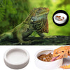 Orgrimmar - 2 cuencos de cerámica para reptiles de comida, para lagarto, anoles, dragones barbados, cangrejos de ermitaño gecko triangulares, leopardo, gecko, camaleón, serpiente de maíz - BESTMASCOTA.COM