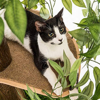 On2Pets Cat Condo Muebles - BESTMASCOTA.COM
