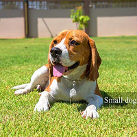 IVIA - Clips para etiquetas de perro, múltiples tamaños de acero inoxidable 304, clip rápido con anillos/fácil cambio de identificación para mascotas para collares y arneses. - BESTMASCOTA.COM