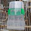 Wpmlady - 2 dispensadores automáticos de agua para pájaros, dispensador de alimentos para pájaros, dispensador de agua para pájaros, 2 PCs - BESTMASCOTA.COM