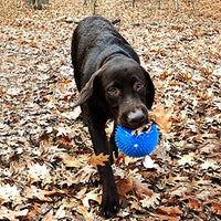 gnawsome Squeek & Light Up Ball Dog Toy, 4.5," extragrande colores variarán - BESTMASCOTA.COM