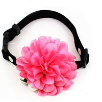 PetFavorites - Collar de corbata para mascotas, gato con colgante de campana, para mascotas, gatos - BESTMASCOTA.COM