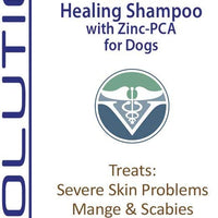 Champú para perros tratados por sarna. Champú antihongos RenuPlex, extra fuerte para perros. Elimina sarna, ácaros y costras. Champú antihongos, All Natural para perro. . - BESTMASCOTA.COM