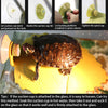 BLSMU - Plataforma deslizante de aros rojos, rampa de reptiles, muelle de tortuga, accesorios de cilindro de tortuga brasileña, decoración de acuario, forma de hoja - BESTMASCOTA.COM