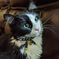 Esceneral - Collar para gato, diseño de lazo, ajustable, con hueso y campana para gatos, gatitos, cachorros - BESTMASCOTA.COM